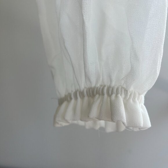 Aritzia Wilfred Wistful Long Sleeve Blouse - Picture 6 of 6